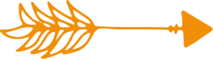 Website pijl oranje